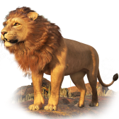 TikTok LIVE Lion gift